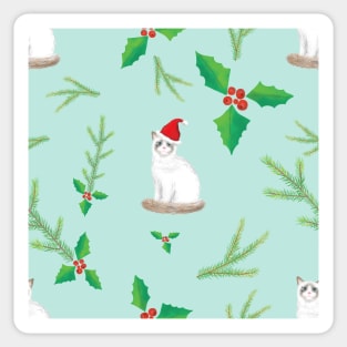 Meowy Christmas Ragdoll Cats with Santa Hats - Winter Party Pattern Sticker